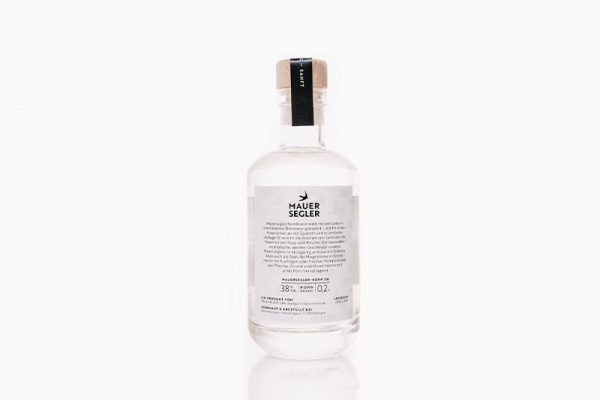 harald_voelkl_20191213_neckarliebe_mauersegler_back_002-800