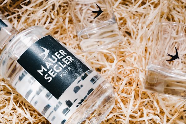 harald_voelkl_neckarliebe_mauersegler_020-800×533